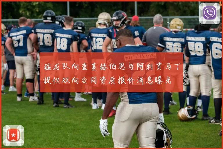 猛龙队向查基赫伯恩与阿利贾马丁提供双向合同资质报价消息曝光