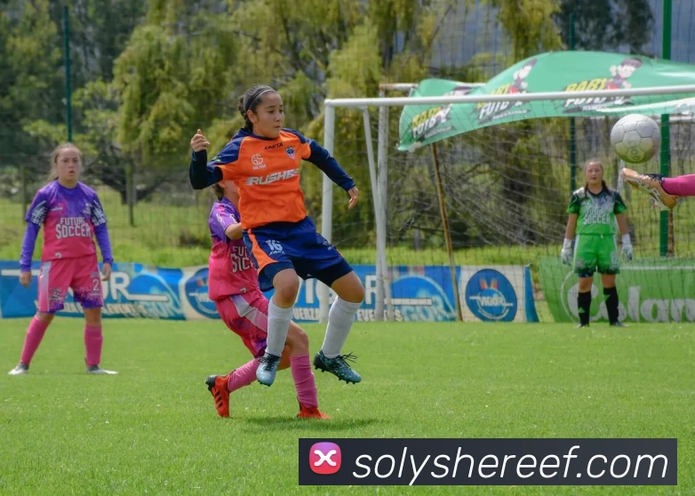 App Interface Preview